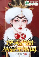 Red Mansion: Defying The Heavens And Changing Fate, Concubine Wang Xifeng